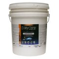 True Value ECP5GAL TintEggsh Paint ECPET-5G